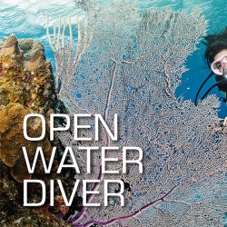 Open Water Diver Kurse